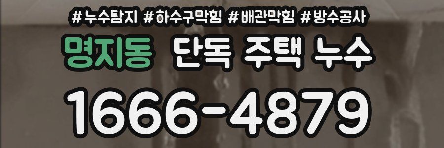 명지동 단독 주택 누수