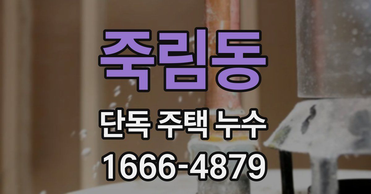 죽림동 단독 주택 누수