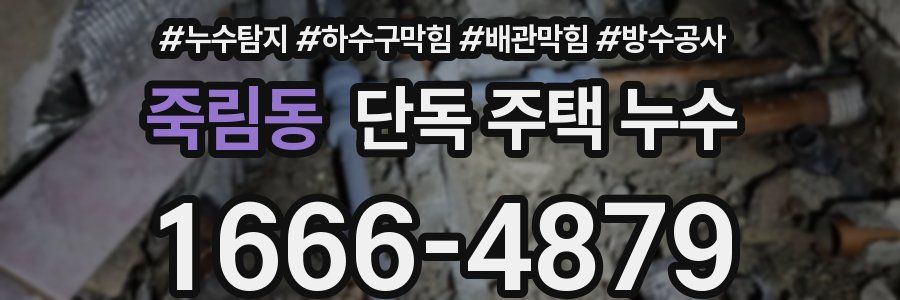죽림동 단독 주택 누수