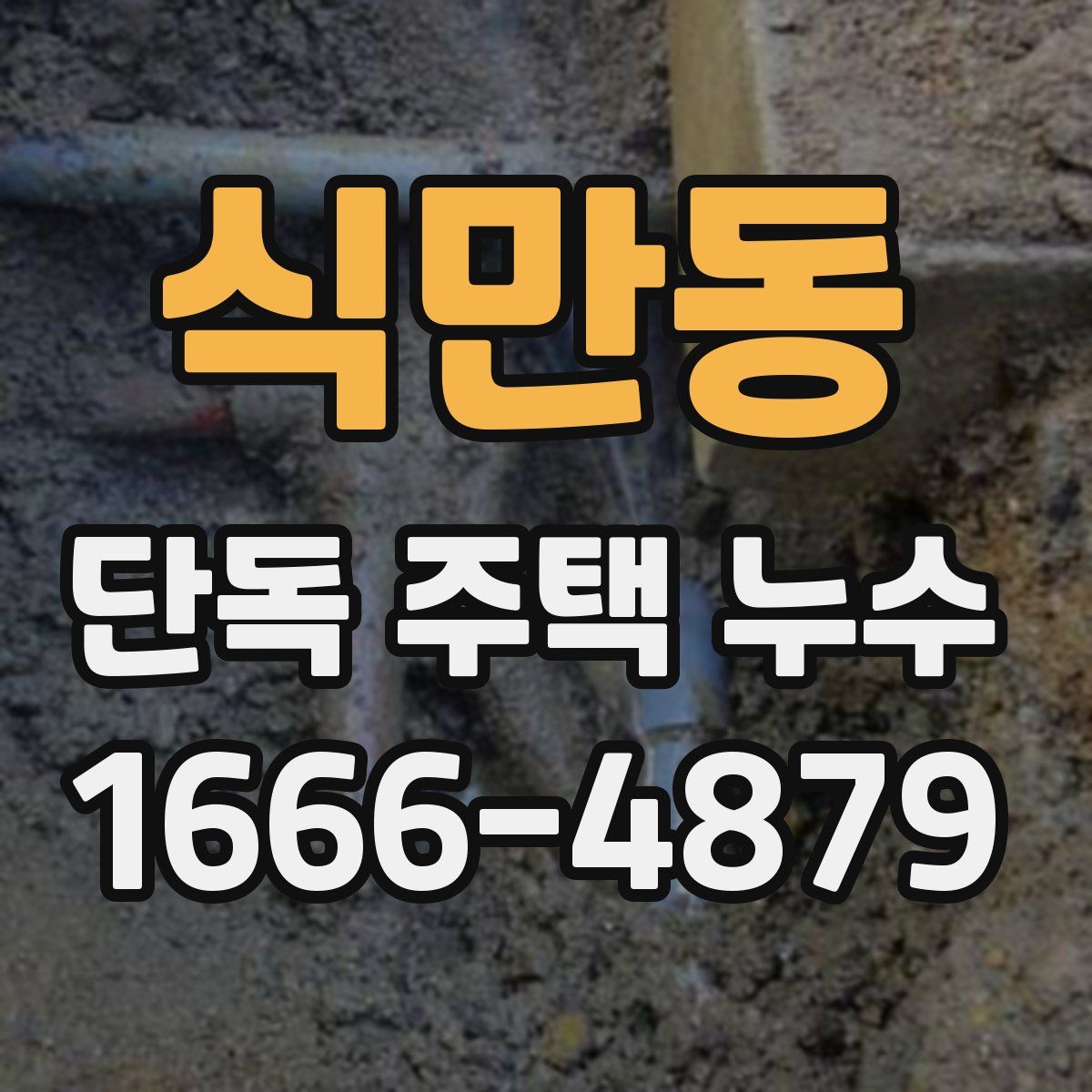 식만동 단독 주택 누수