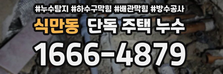 식만동 단독 주택 누수