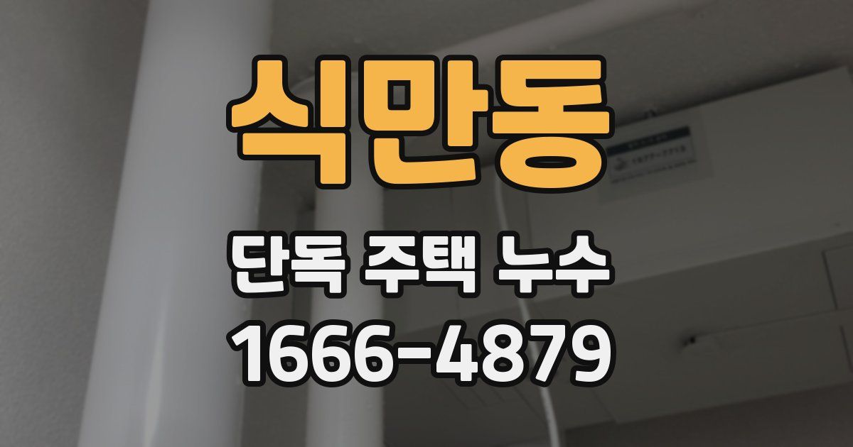 식만동 단독 주택 누수