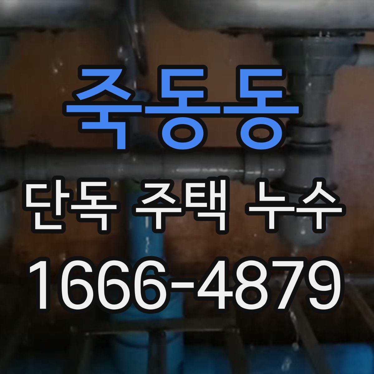 죽동동 단독 주택 누수