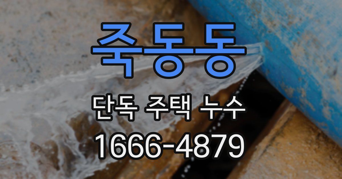 죽동동 단독 주택 누수