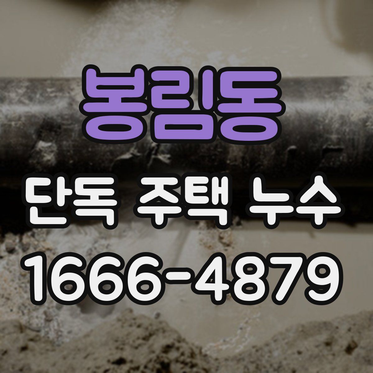 봉림동 단독 주택 누수