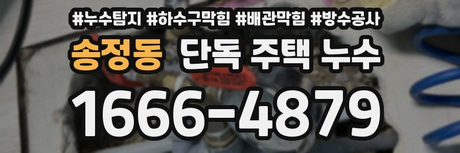 송정동 단독 주택 누수
