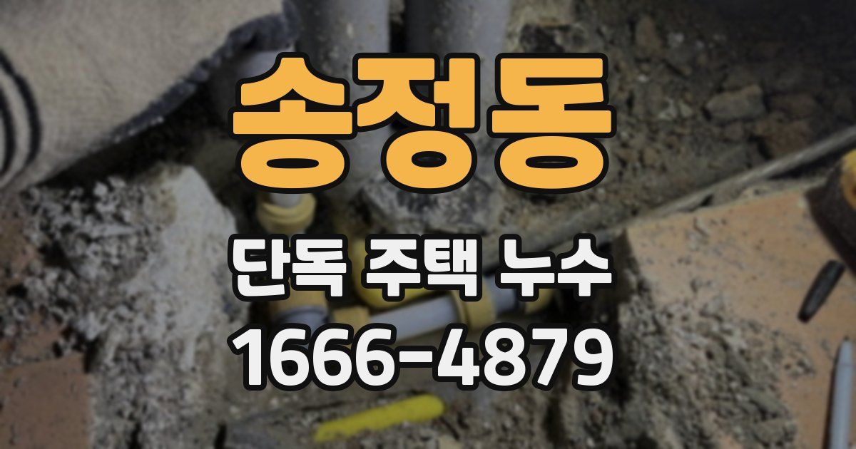 송정동 단독 주택 누수