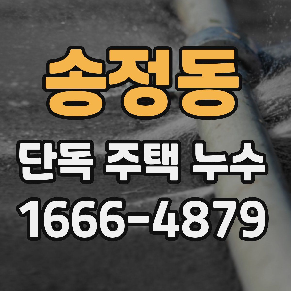 송정동 단독 주택 누수
