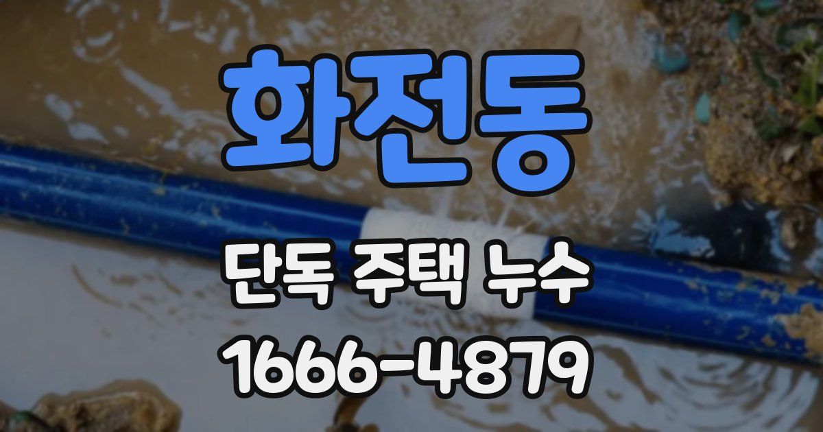 화전동 단독 주택 누수