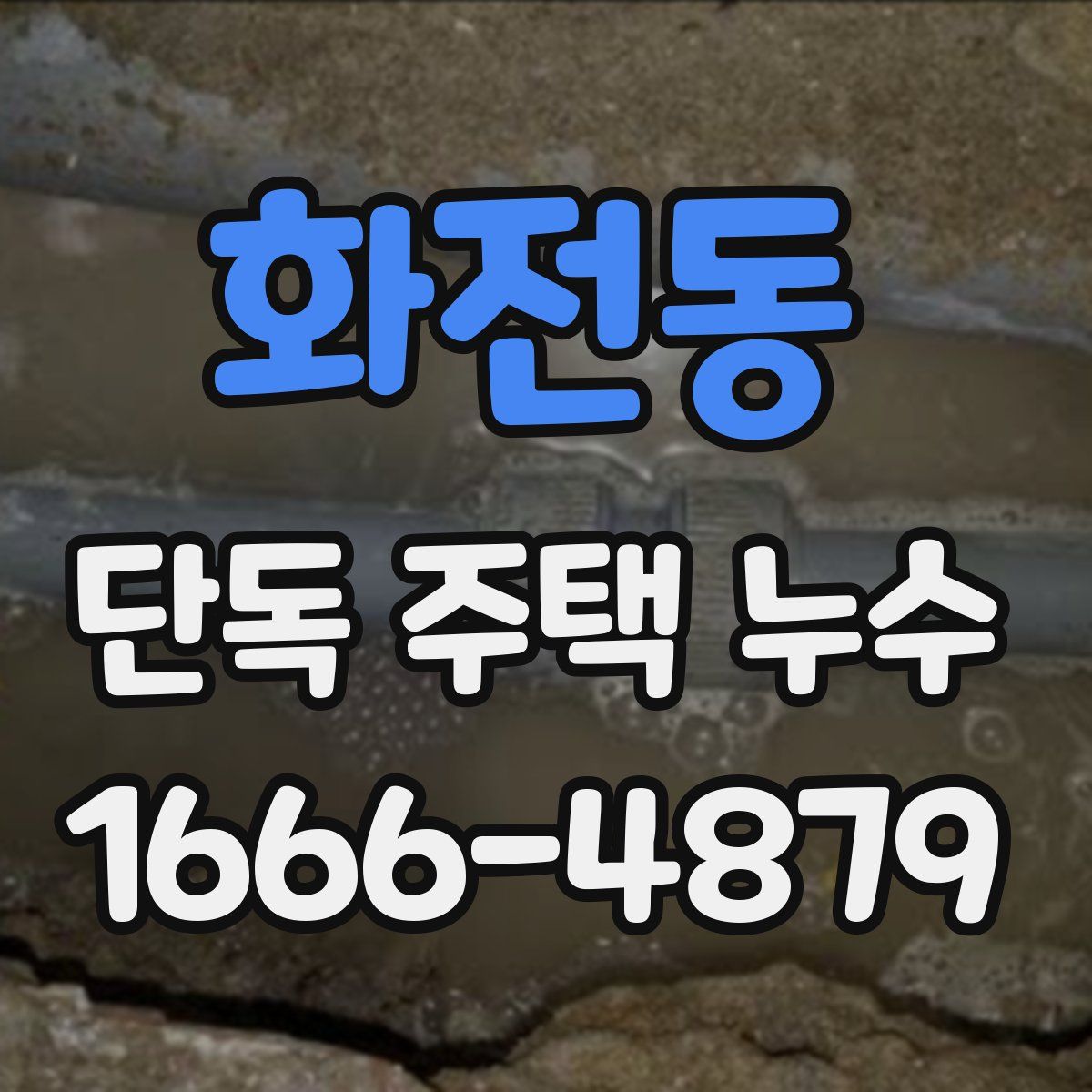 화전동 단독 주택 누수