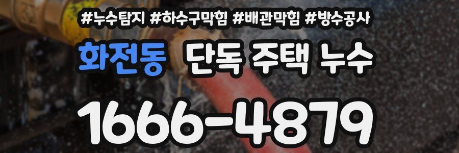 화전동 단독 주택 누수