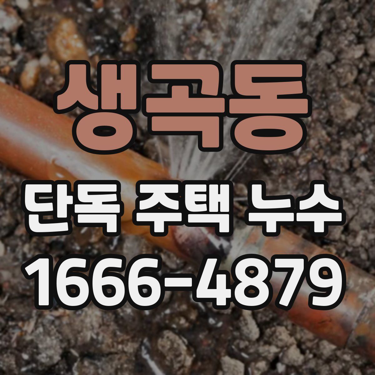 생곡동 단독 주택 누수