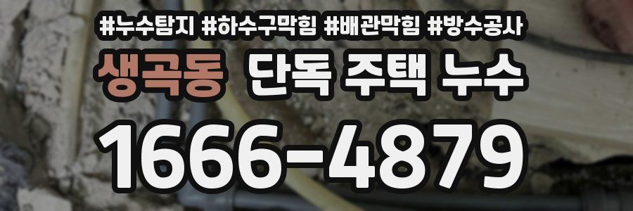 생곡동 단독 주택 누수