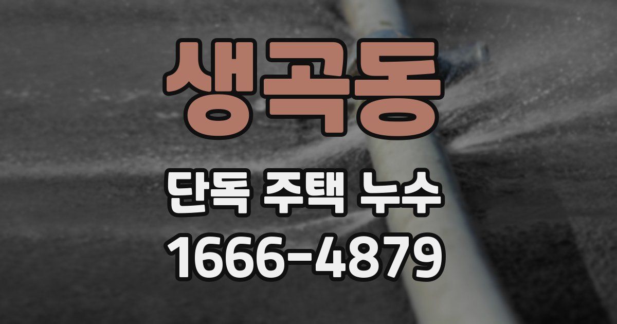 생곡동 단독 주택 누수
