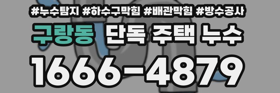 구랑동 단독 주택 누수