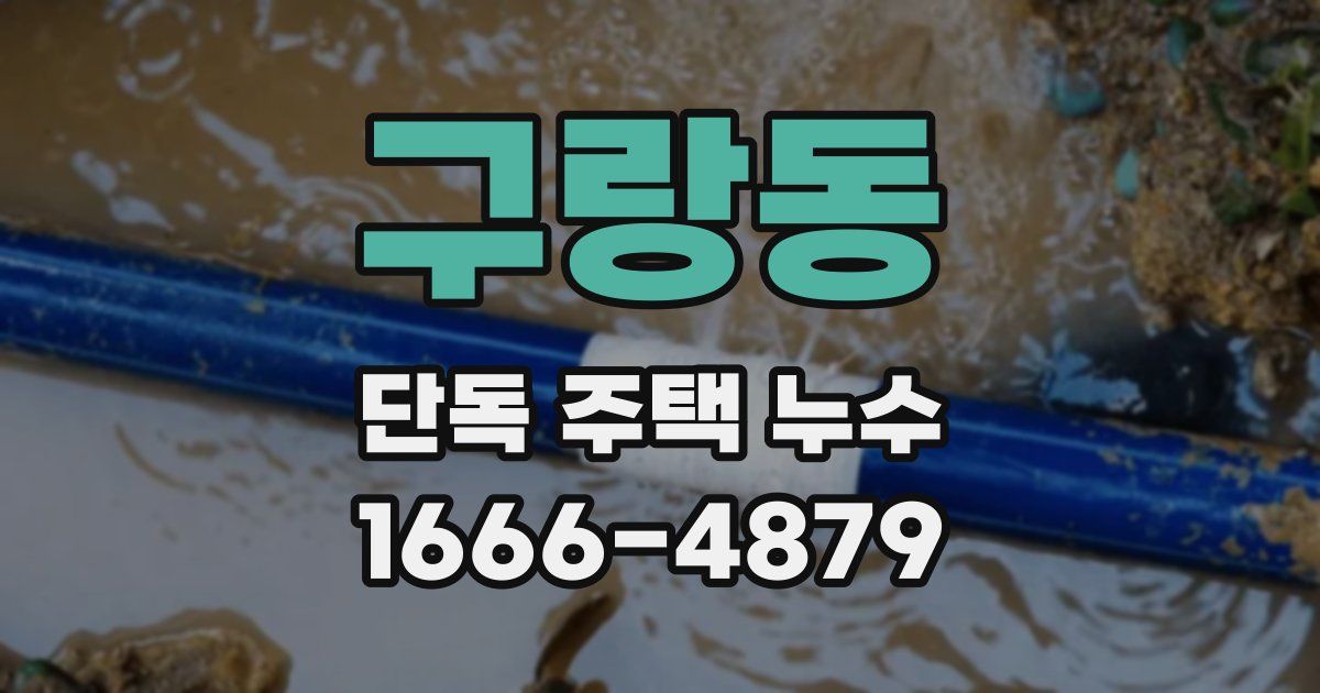 구랑동 단독 주택 누수