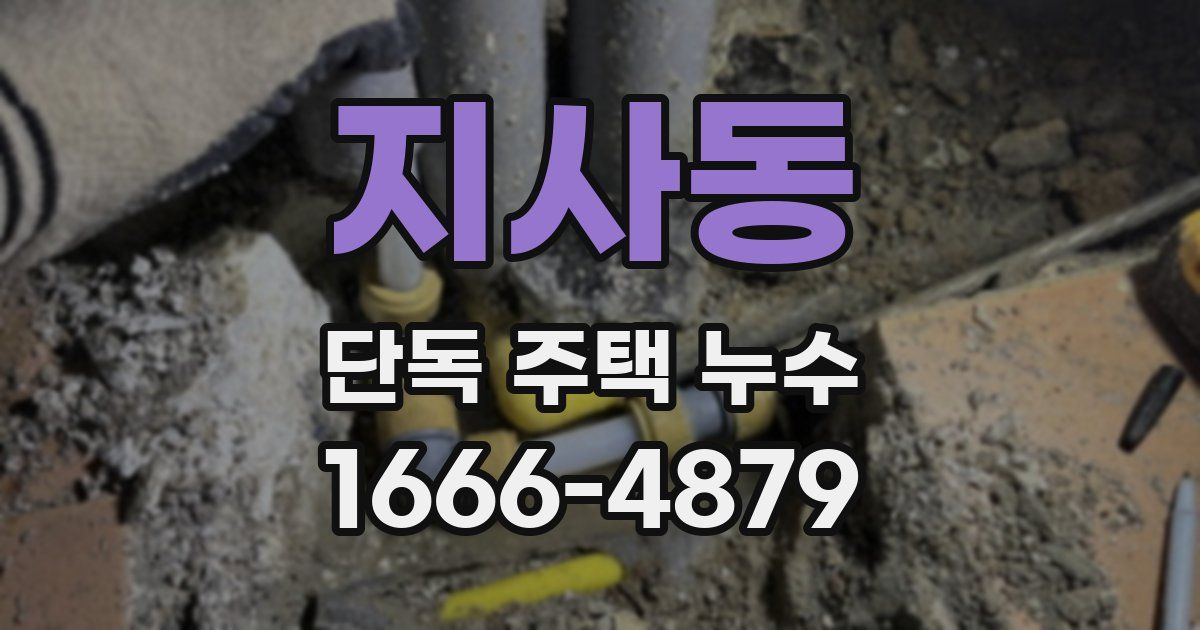 지사동 단독 주택 누수