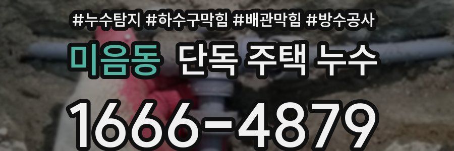 미음동 단독 주택 누수