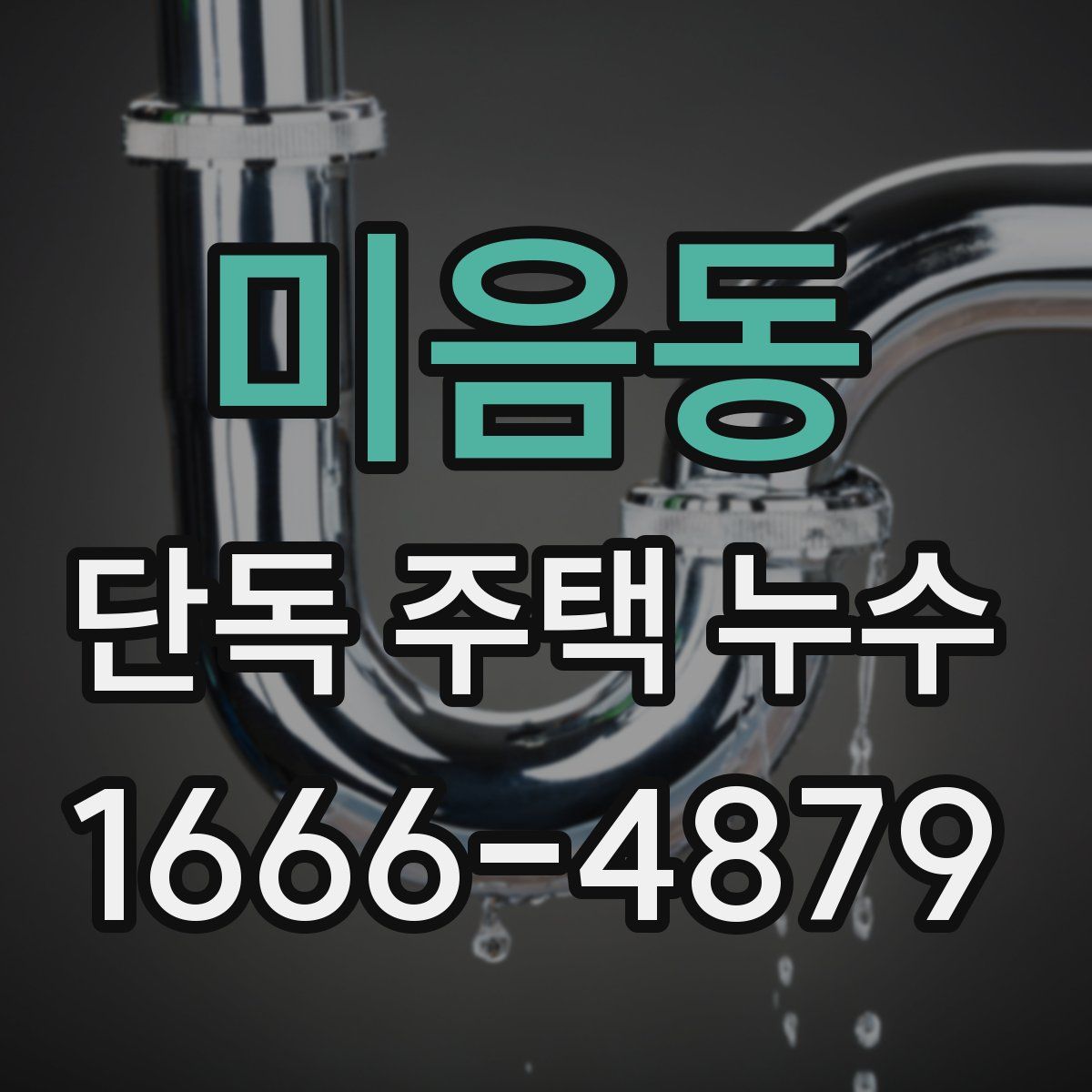 미음동 단독 주택 누수