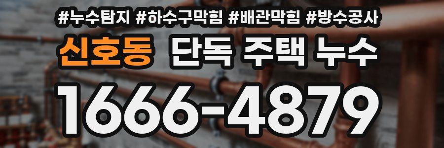 신호동 단독 주택 누수