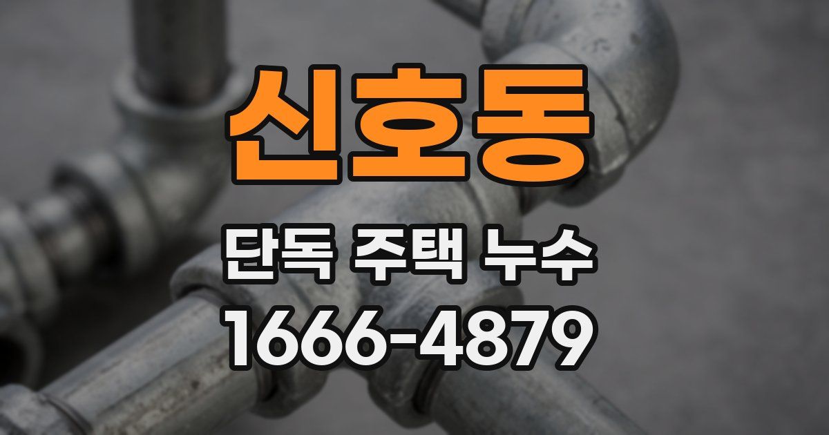 신호동 단독 주택 누수