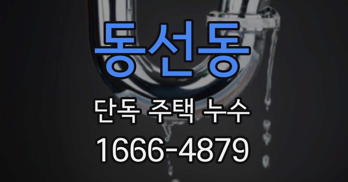 동선동 단독 주택 누수