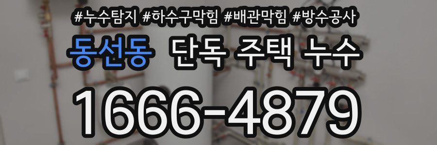 동선동 단독 주택 누수