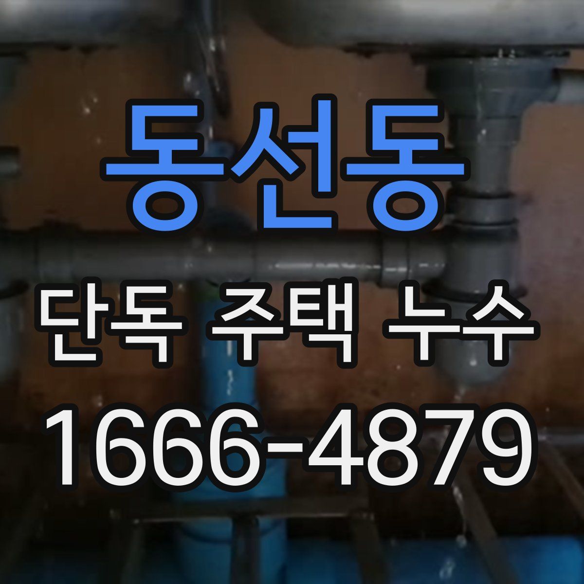 동선동 단독 주택 누수