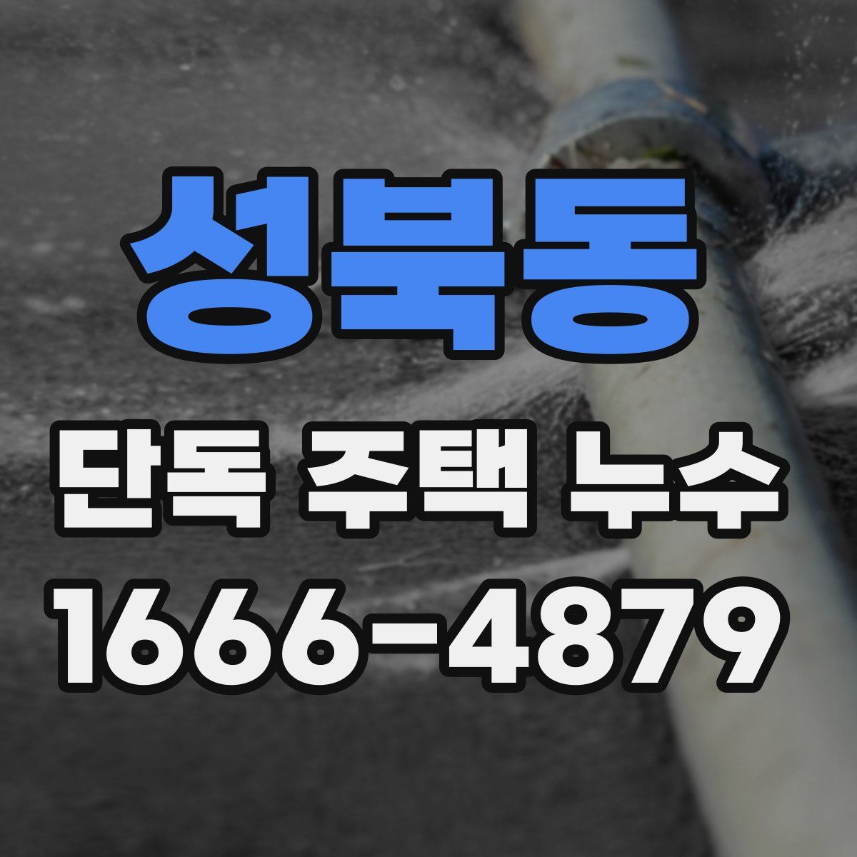 성북동 단독 주택 누수