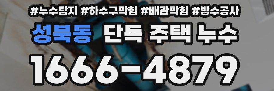 성북동 단독 주택 누수