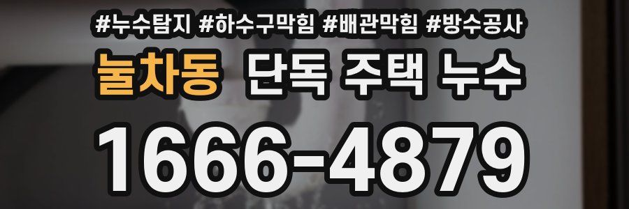 눌차동 단독 주택 누수