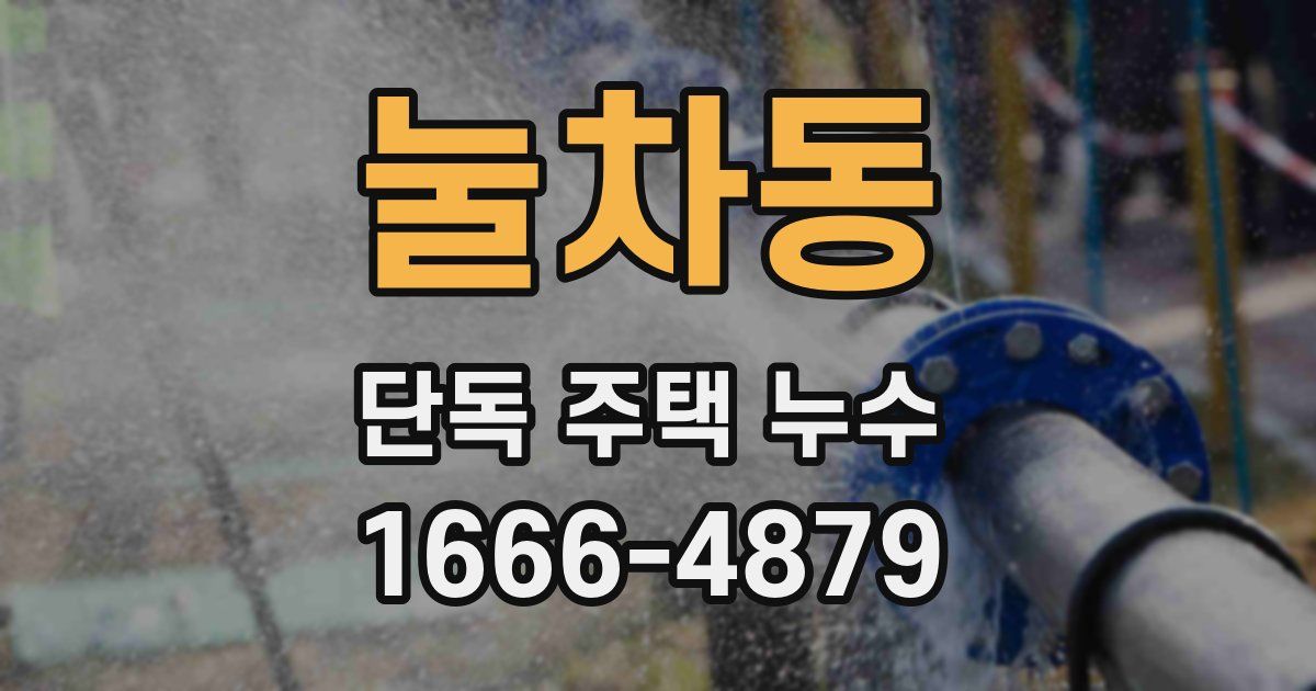 눌차동 단독 주택 누수
