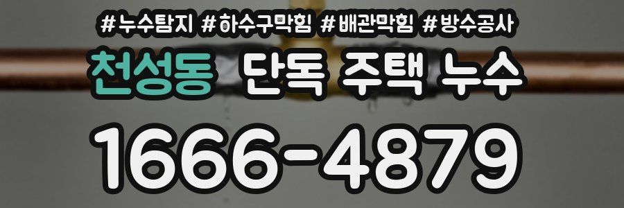 천성동 단독 주택 누수