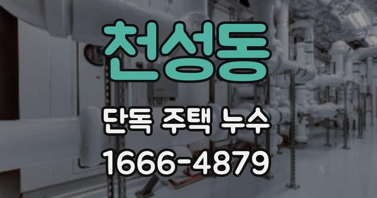 천성동 단독 주택 누수