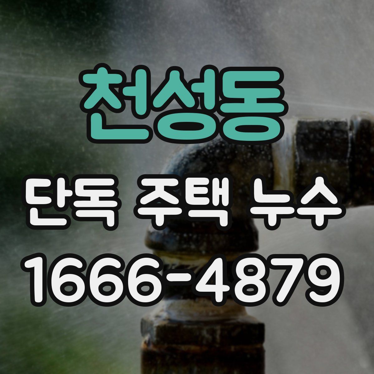 천성동 단독 주택 누수