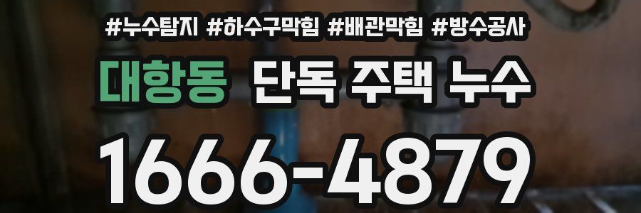 대항동 단독 주택 누수