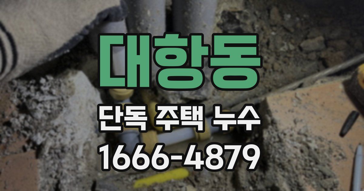 대항동 단독 주택 누수