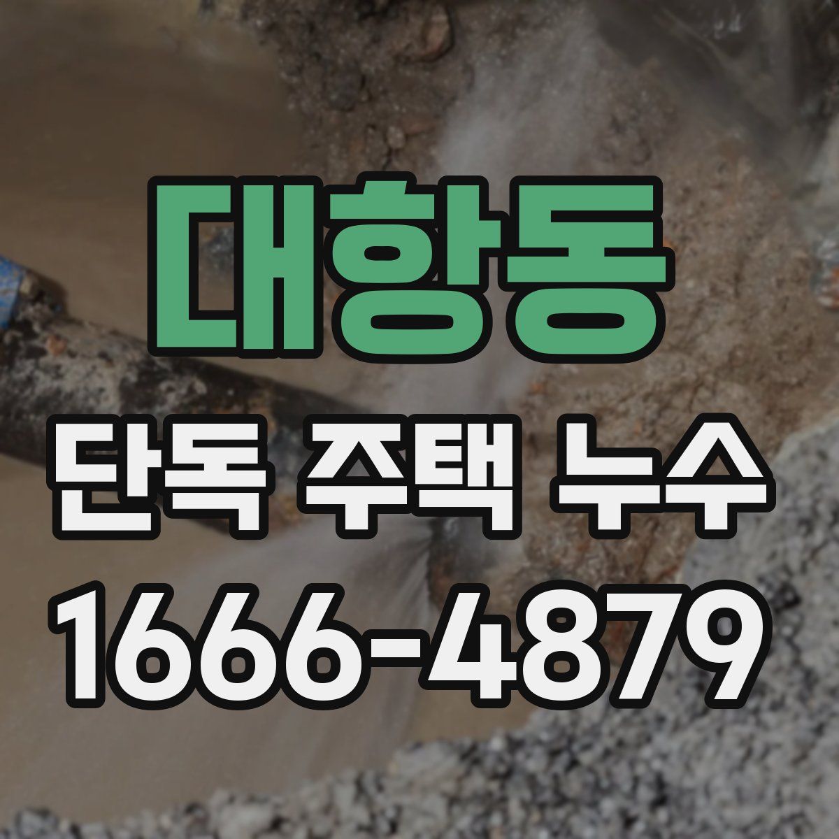 대항동 단독 주택 누수