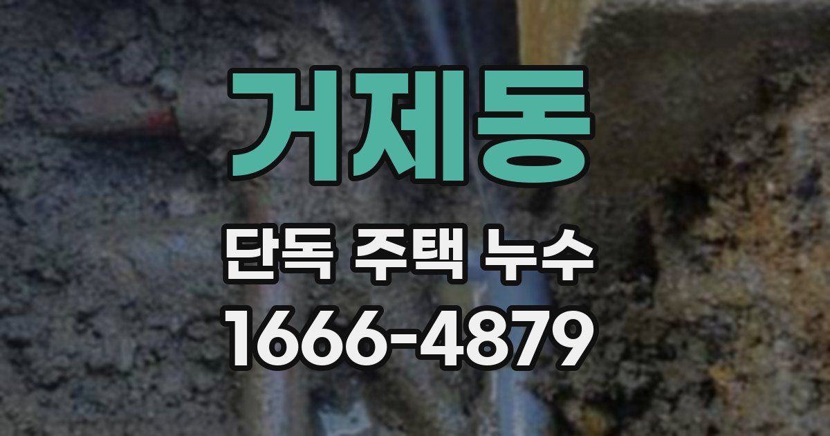 거제동 단독 주택 누수
