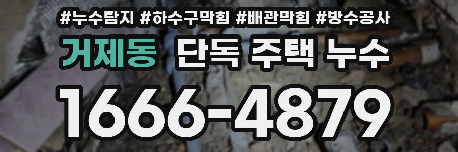 거제동 단독 주택 누수