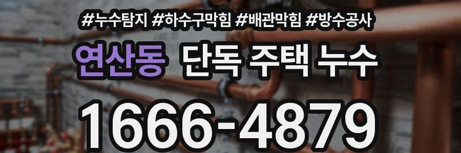 연산동 단독 주택 누수