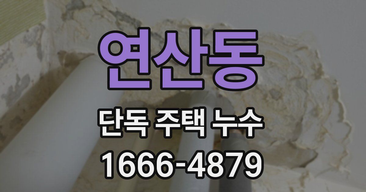 연산동 단독 주택 누수