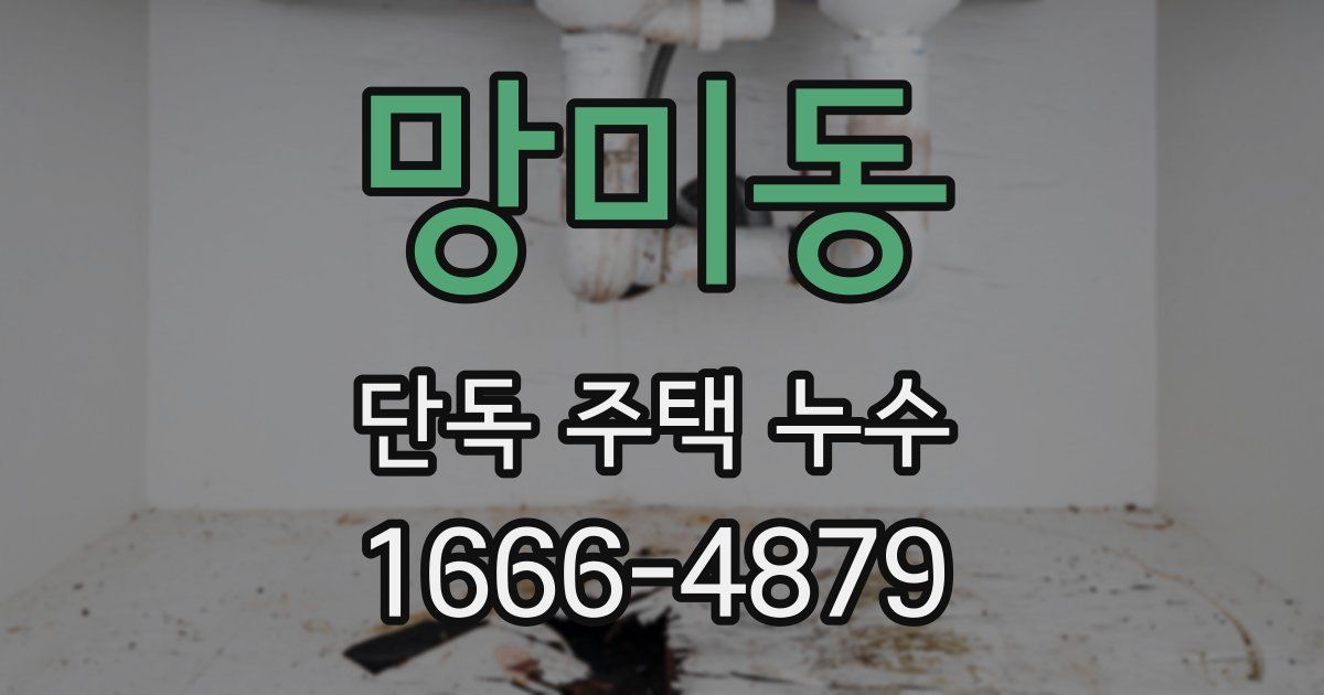 망미동 단독 주택 누수