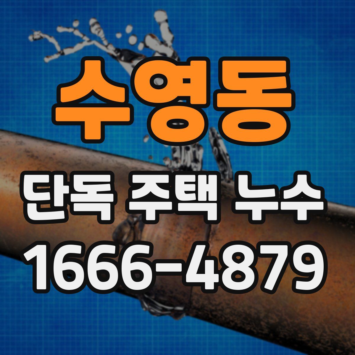 수영동 단독 주택 누수