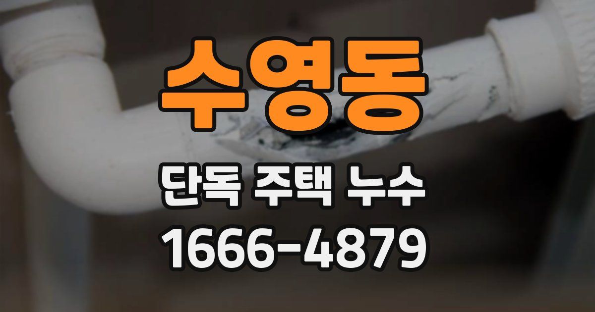 수영동 단독 주택 누수