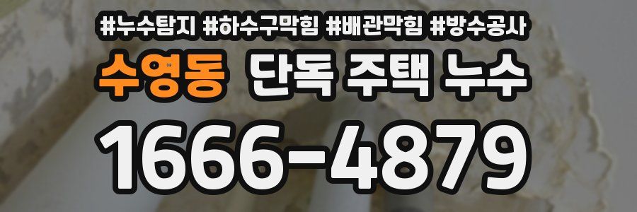 수영동 단독 주택 누수