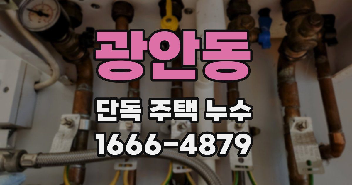 광안동 단독 주택 누수
