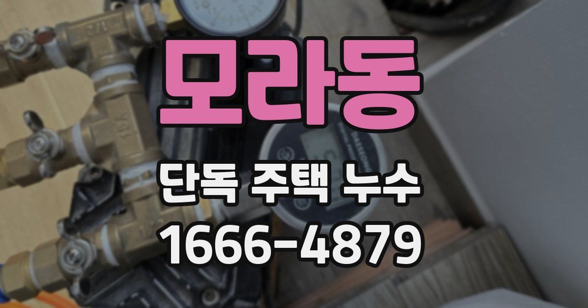 모라동 단독 주택 누수