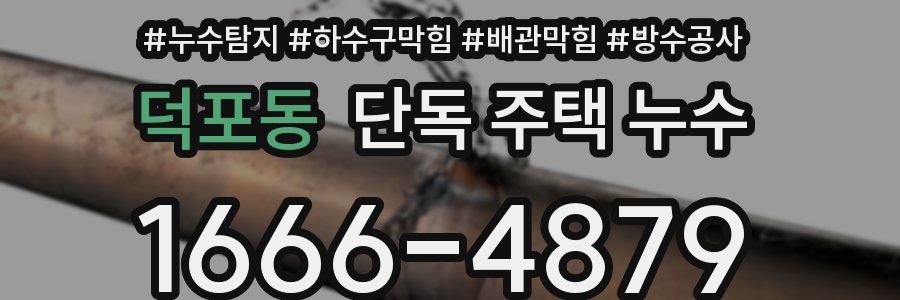 덕포동 단독 주택 누수