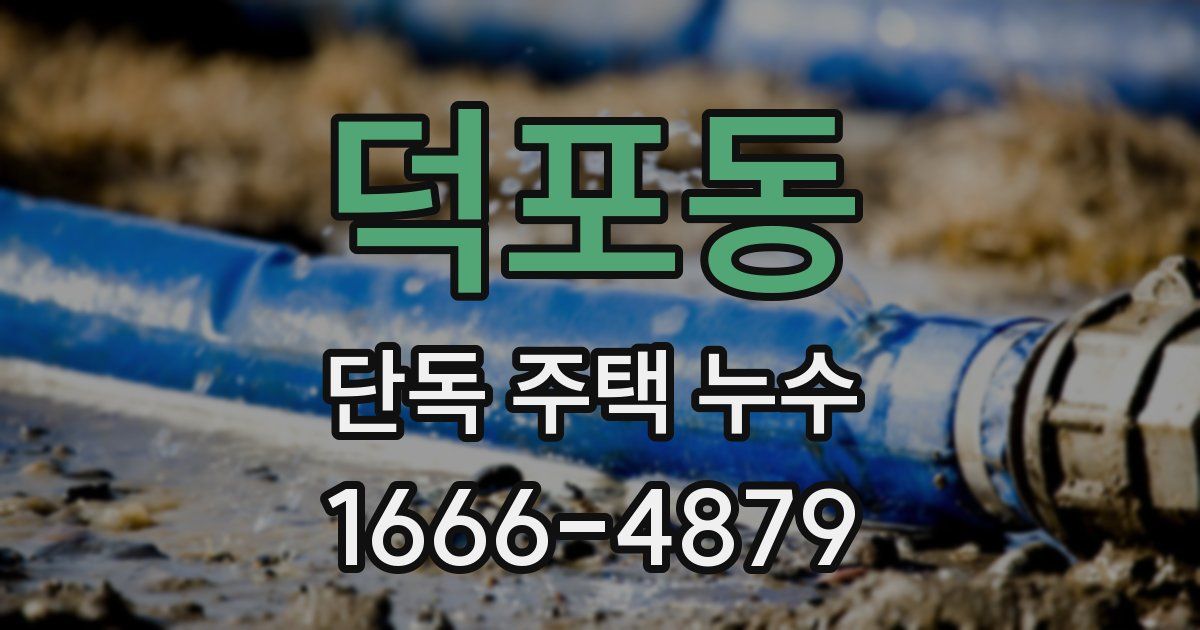 덕포동 단독 주택 누수